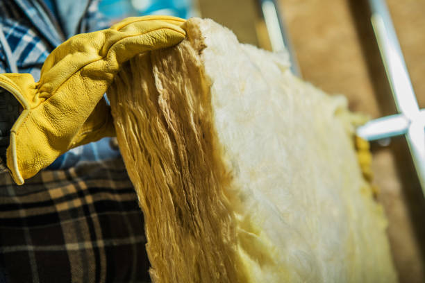 Best Insulation Maintenance and Repair in Homeland Park, SC