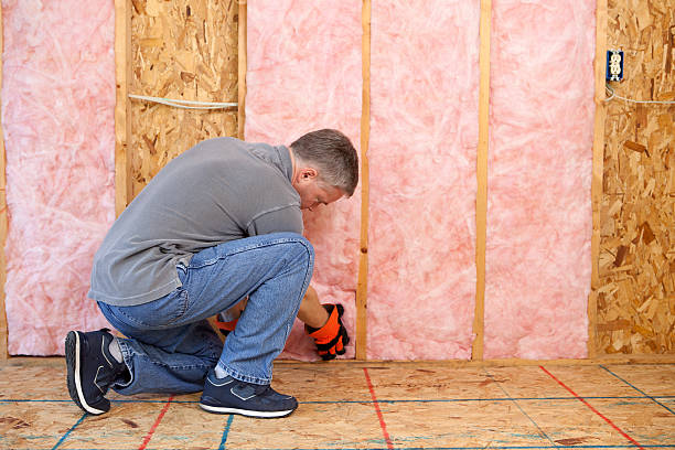 Best Insulation Installation Services in Homeland Park, SC